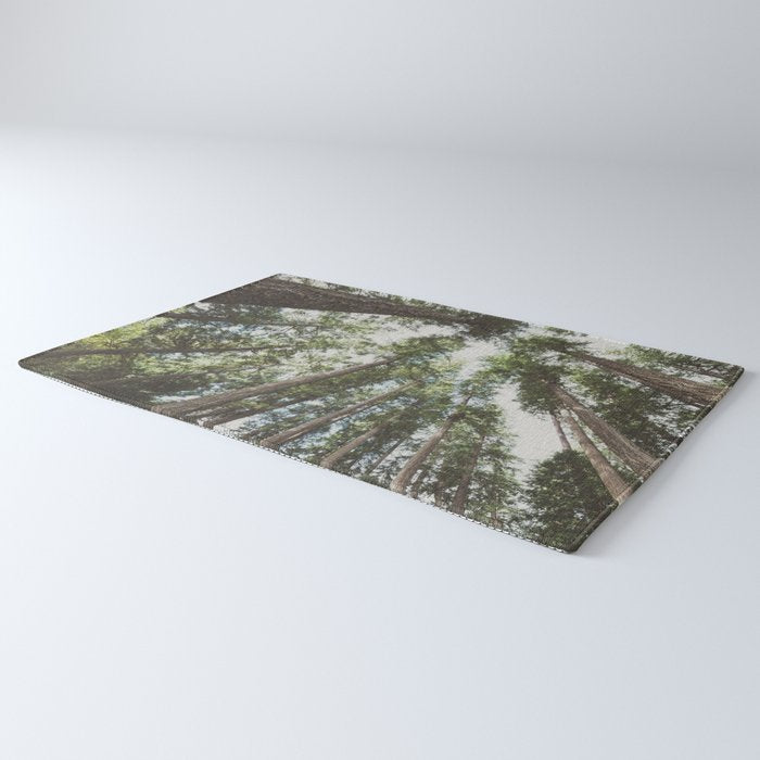 Higher Rug Gallery Image 3