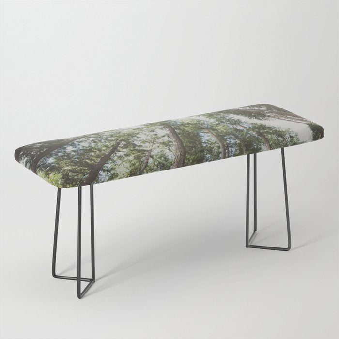 Higher Bench Gallery Image 1