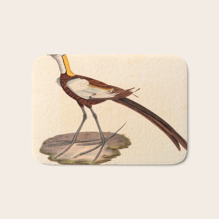 Ornithological illustration from "La Galerie de Oiseaux" ("Bird Gallery"), 1825 Bath Mat Gallery Image 1