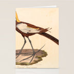 Ornithological illustration from "La Galerie de Oiseaux" ("Bird Gallery"), 1825 Stationery Card Gallery Image 2