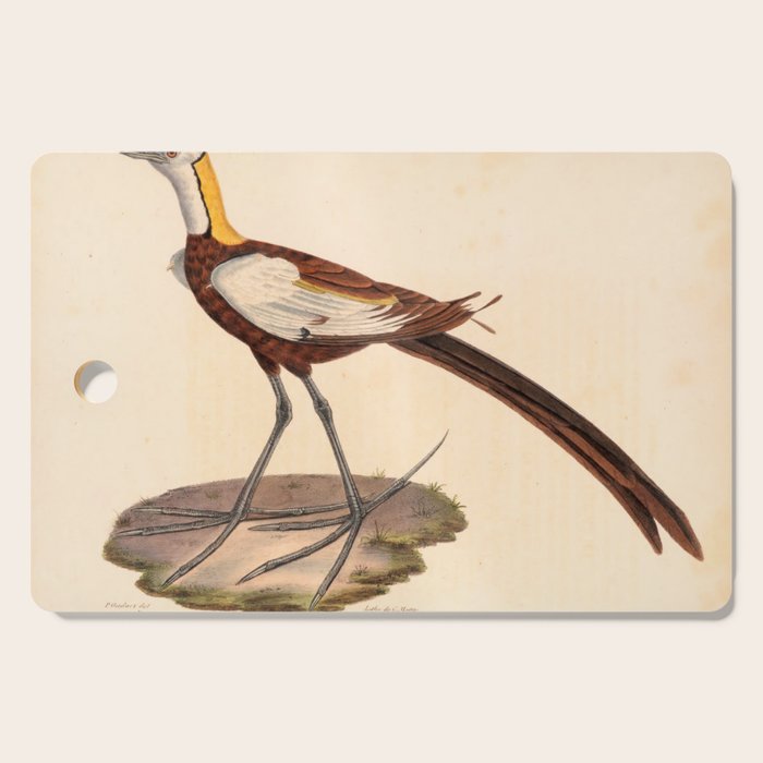 Ornithological illustration from "La Galerie de Oiseaux" ("Bird Gallery"), 1825 Cutting Board Gallery Image 1
