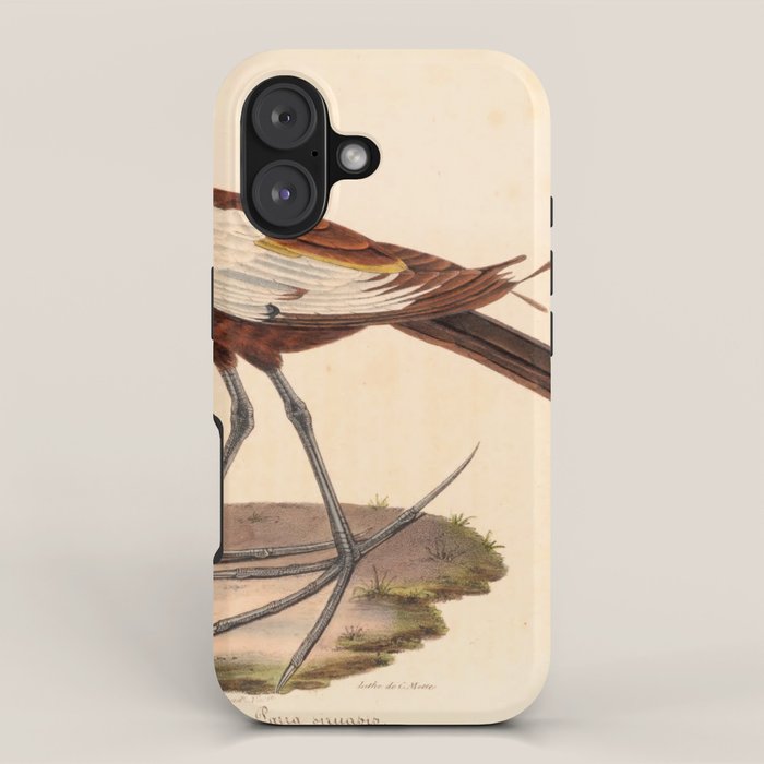 Ornithological illustration from "La Galerie de Oiseaux" ("Bird Gallery"), 1825 iPhone Case Gallery Image 1