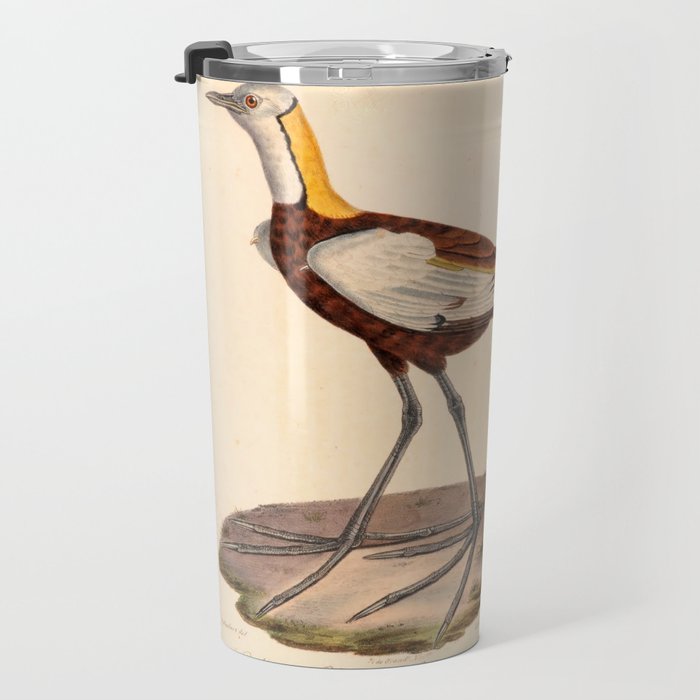 Ornithological illustration from "La Galerie de Oiseaux" ("Bird Gallery"), 1825 Travel Mug Gallery Image 3