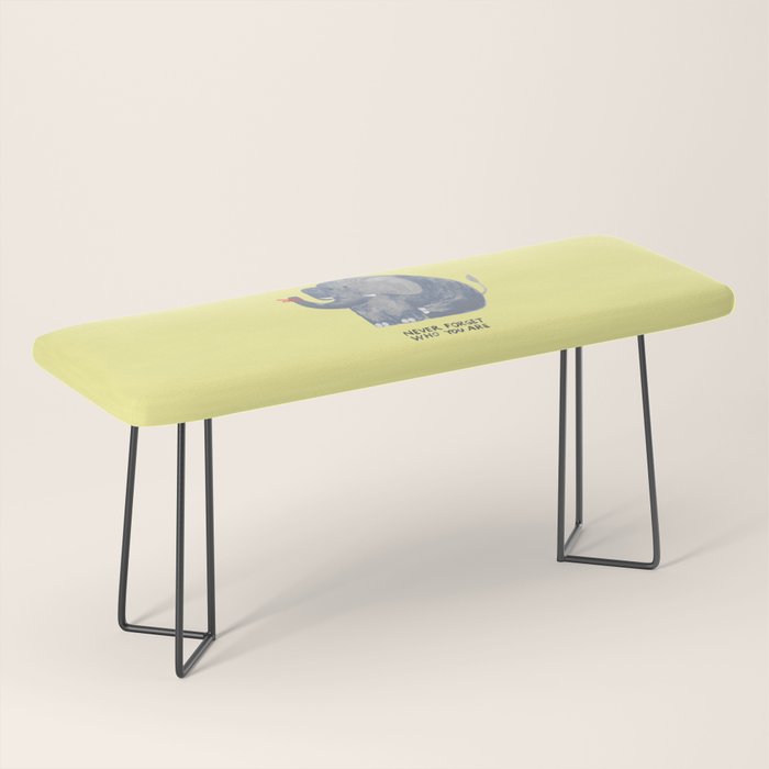 Elephant never forgets Bench Gallery Image 1