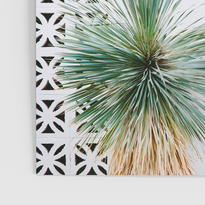 Palm Springs Cactus Poster Gallery Image 3