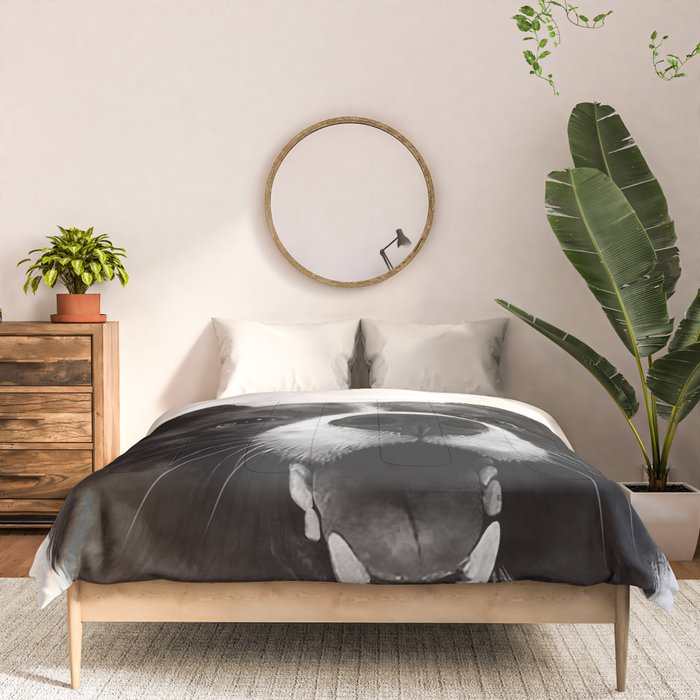 who's a good boy? Comforter Gallery Image 3