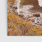Ragged Point Poster Gallery Image 3