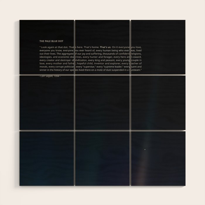 The Pale Blue Dot  Wood Wall Art