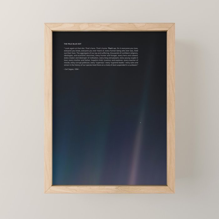 The Pale Blue Dot  Mini Art Print