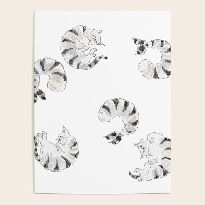 Black tiger prawn Cats Poster Gallery Image 4