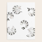 Black tiger prawn Cats Poster Gallery Image 4