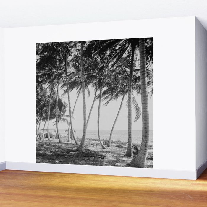 Miami Florida Palm Trees Black and White Vintage Photograph, 1915 Wall Mural Gallery Image 2