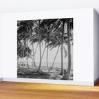 Miami Florida Palm Trees Black and White Vintage Photograph, 1915 Wall Mural Gallery Image 2
