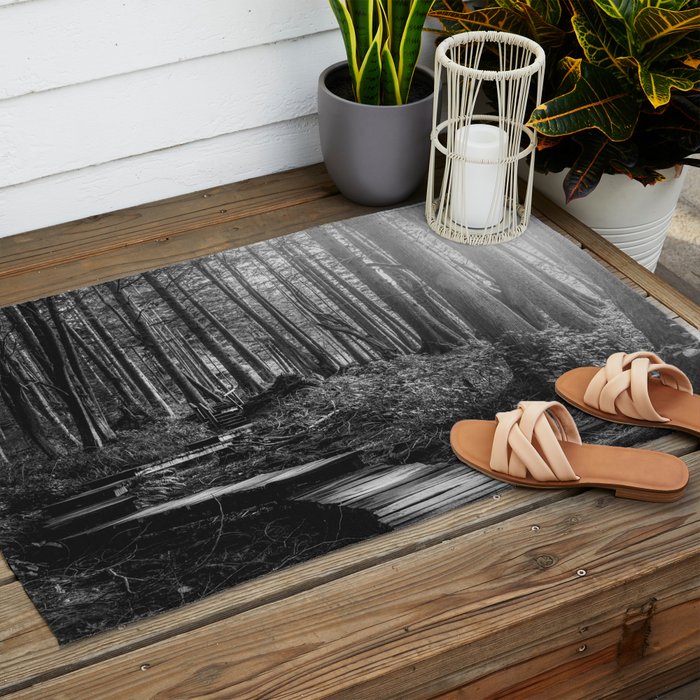 Adventure Nature Path Black and White Outdoor Rug Gallery Image 2