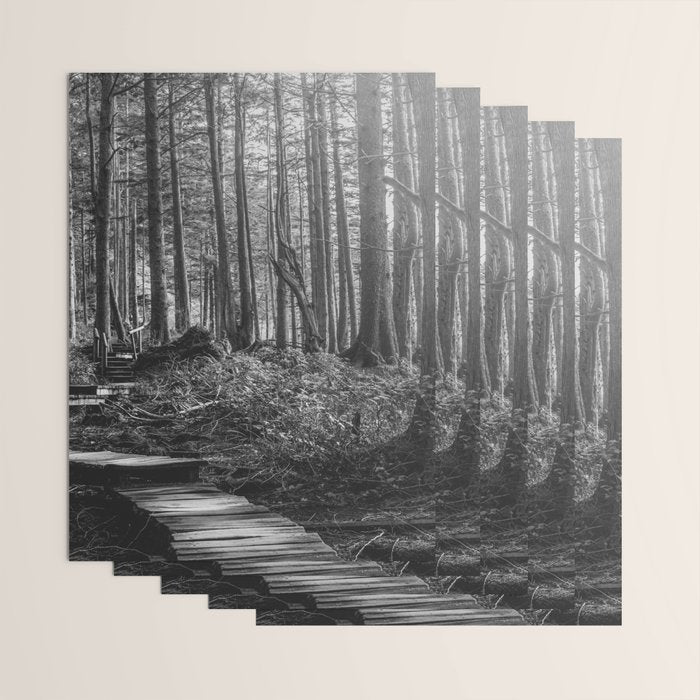 Adventure Nature Path Black and White Wrapping Paper Gallery Image 3