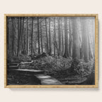 Adventure Nature Path Black and White Serving Tray Gallery Image 1