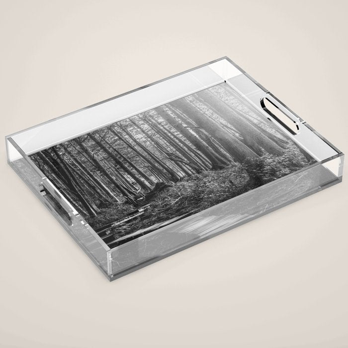Adventure Nature Path Black and White Acrylic Tray Gallery Image 1