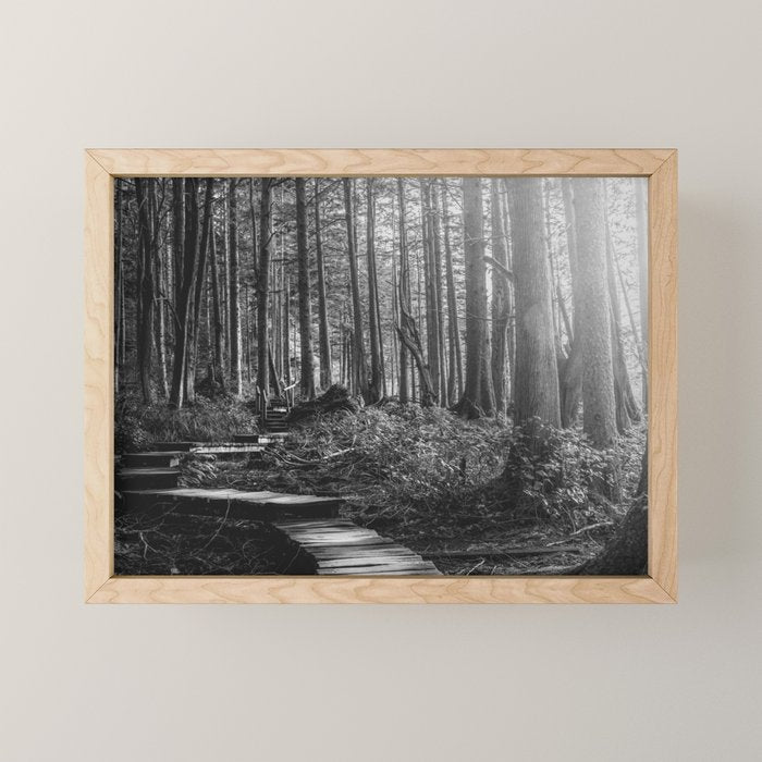 Adventure Nature Path Black and White Mini Art Print Gallery Image 1