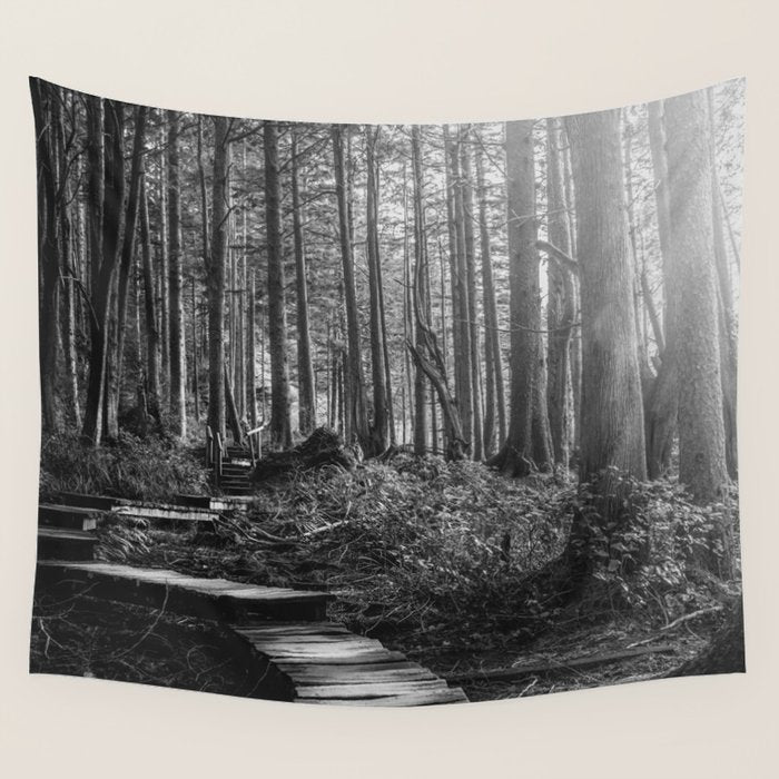 Adventure Nature Path Black and White Wall Tapestry Gallery Image 1