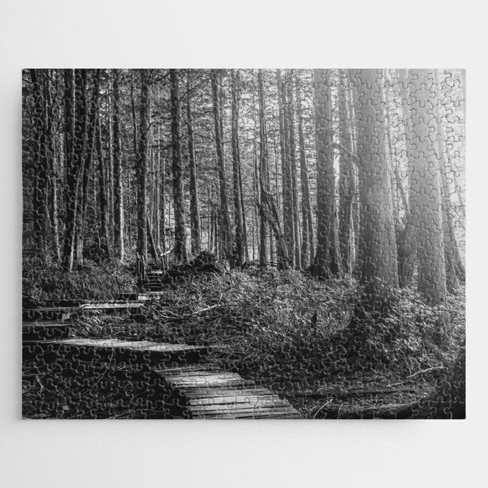 Adventure Nature Path Black and White Jigsaw Puzzle Gallery Image 1