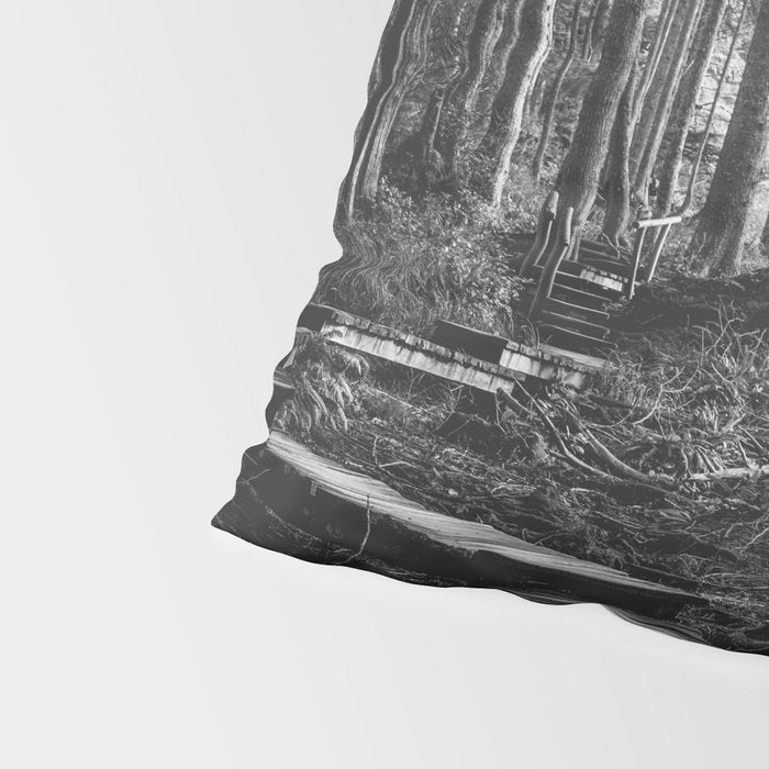 Adventure Nature Path Black and White Pillow Sham Gallery Image 4