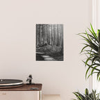 Adventure Nature Path Black and White Poster Gallery Image 2