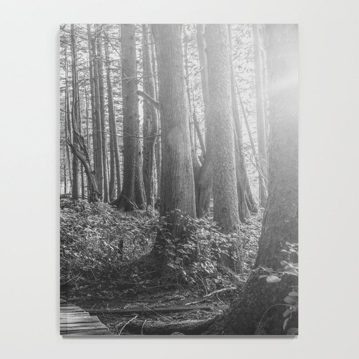 Adventure Nature Path Black and White Notebook Gallery Image 4