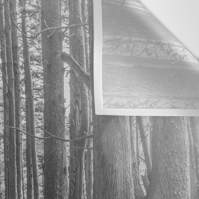 Adventure Nature Path Black and White Wall Tapestry Gallery Image 3