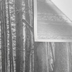Adventure Nature Path Black and White Wall Tapestry Gallery Image 3