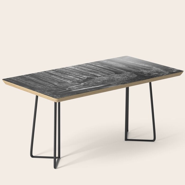 Adventure Nature Path Black and White Coffee Table Gallery Image 1