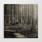 Adventure Nature Path Black and White Wood Wall Art Gallery Image 1