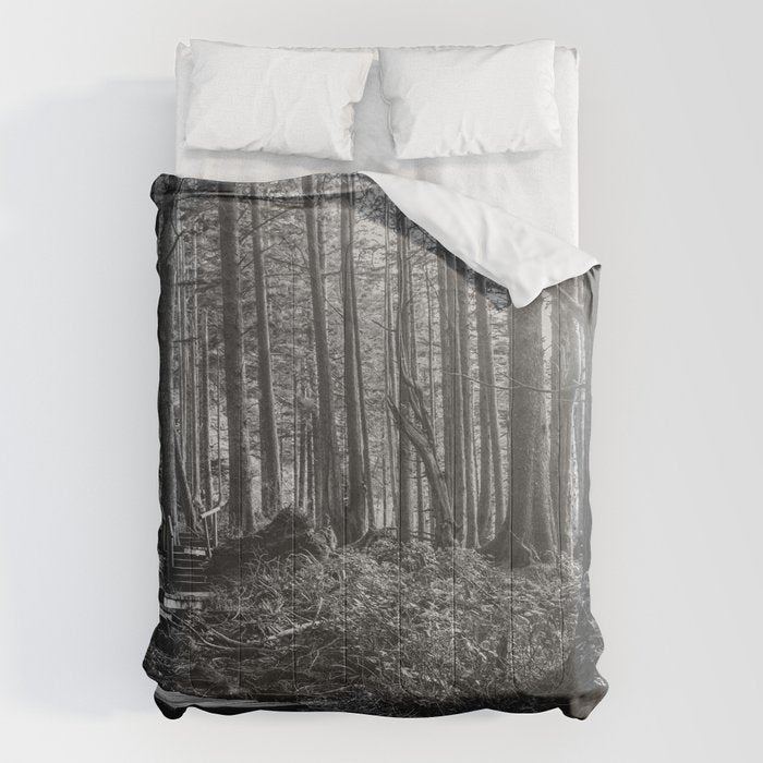 Adventure Nature Path Black and White Comforter Gallery Image 1