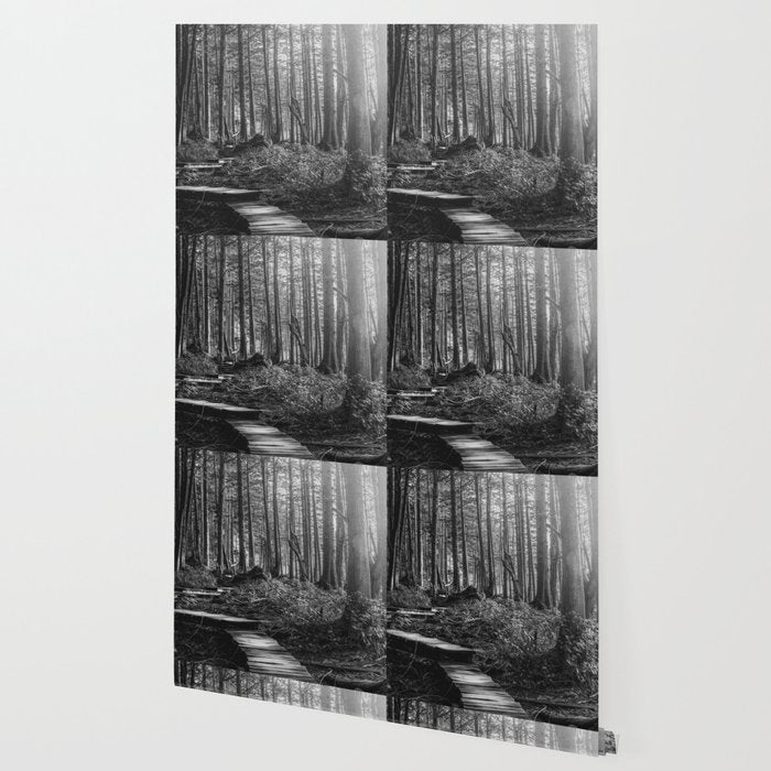 Adventure Nature Path Black and White Wallpaper Gallery Image 2