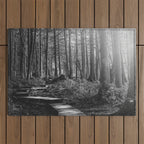 Adventure Nature Path Black and White Outdoor Rug Gallery Image 1
