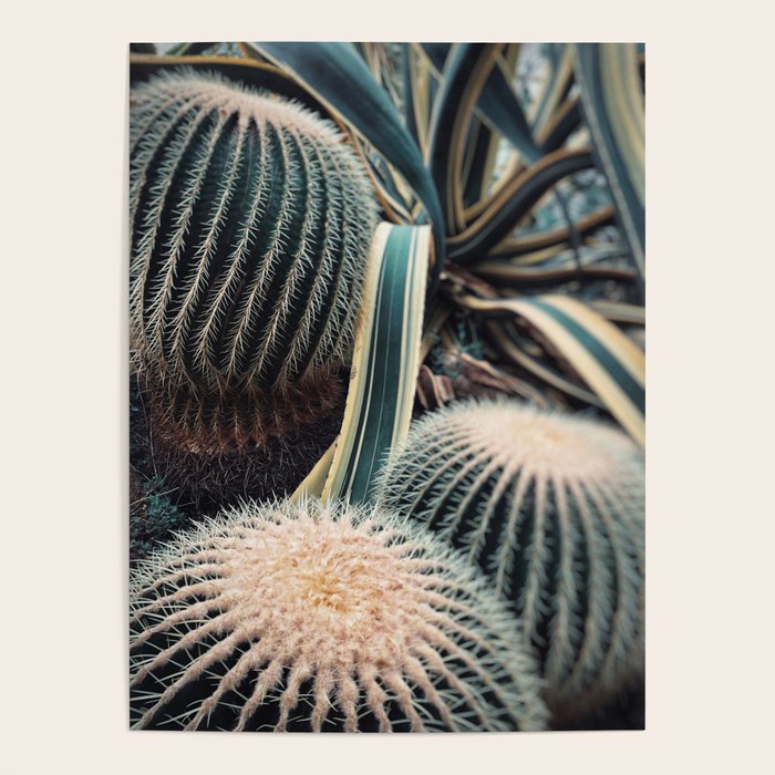 Desert Vibes Poster Gallery Image 4