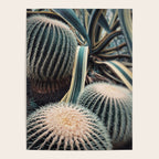 Desert Vibes Poster Gallery Image 4
