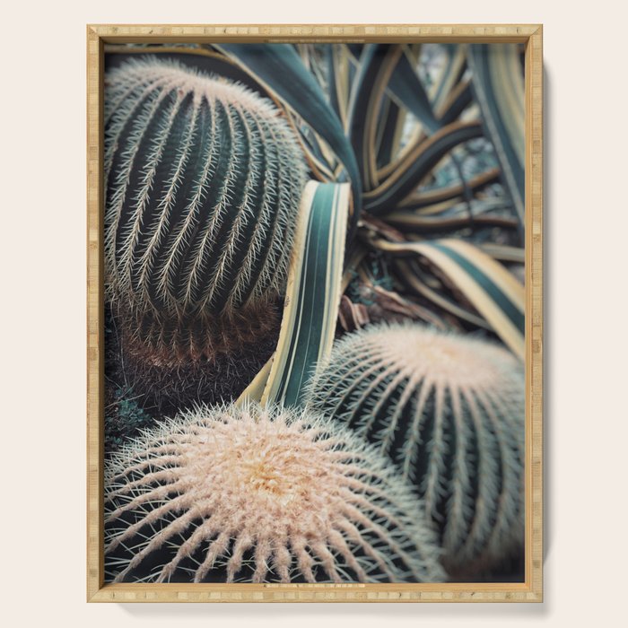 Desert Vibes Serving Tray Gallery Image 1