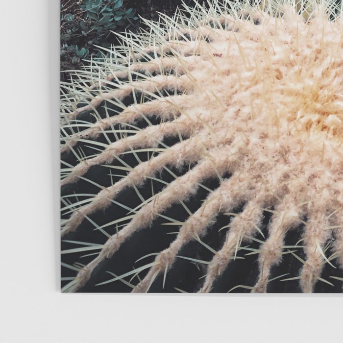 Desert Vibes Poster Gallery Image 3