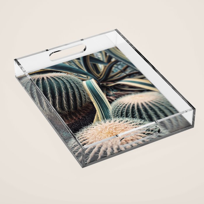 Desert Vibes Acrylic Tray Gallery Image 1