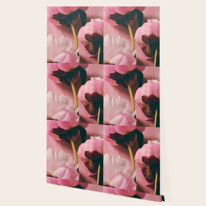 Pink Peony Love Wallpaper Gallery Image 2