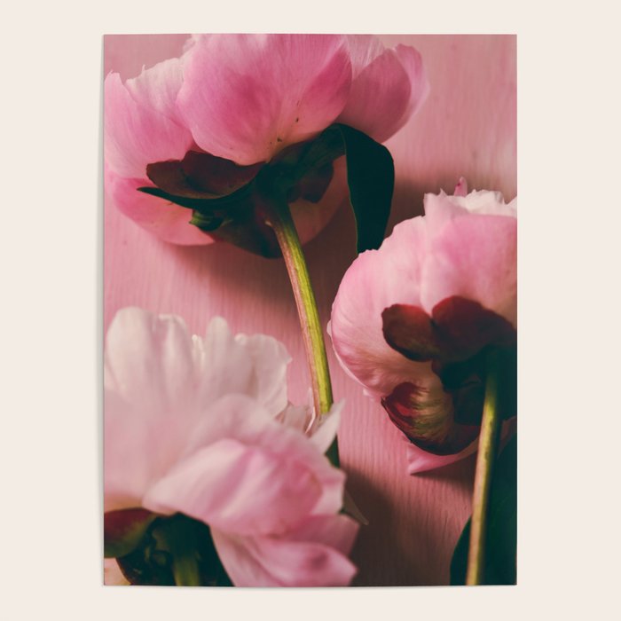 Pink Peony Love Poster Gallery Image 4