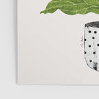 Fiddle leaf fig Tree Poster Gallery Image 3