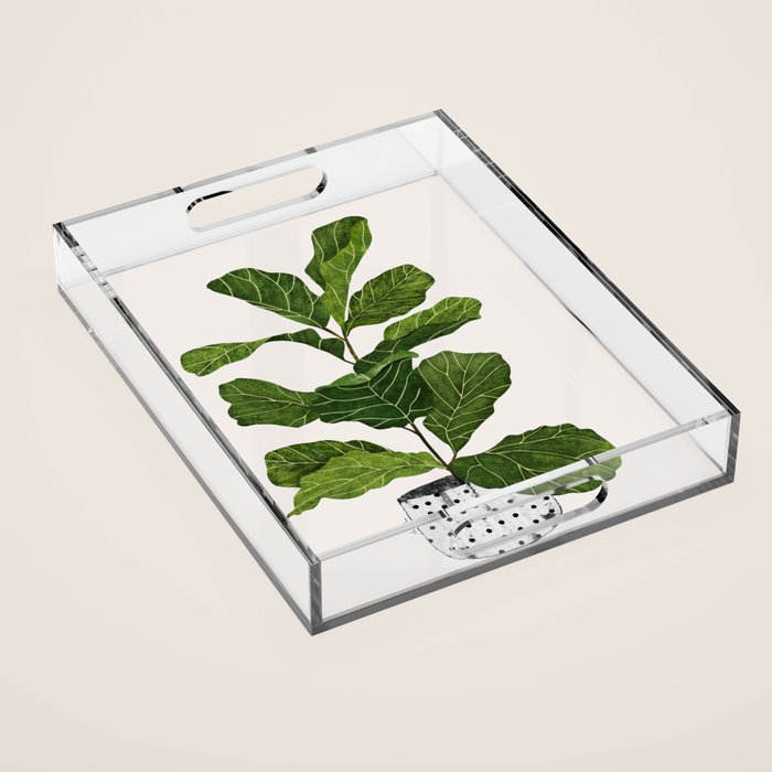 Fiddle leaf fig Tree Acrylic Tray Gallery Image 1