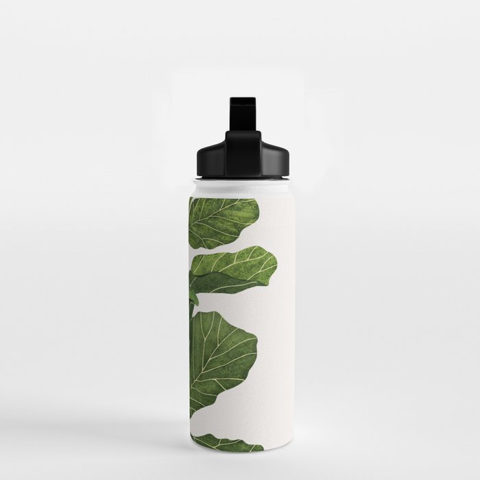 Fiddle leaf fig Tree Water Bottle Gallery Image 2