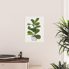Fiddle leaf fig Tree Poster Gallery Image 2