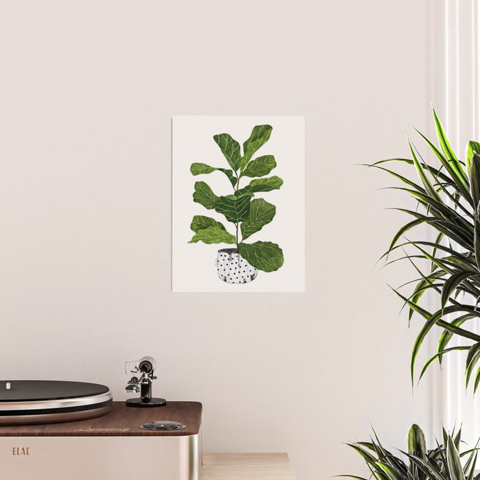 Fiddle leaf fig Tree Poster Gallery Image 2