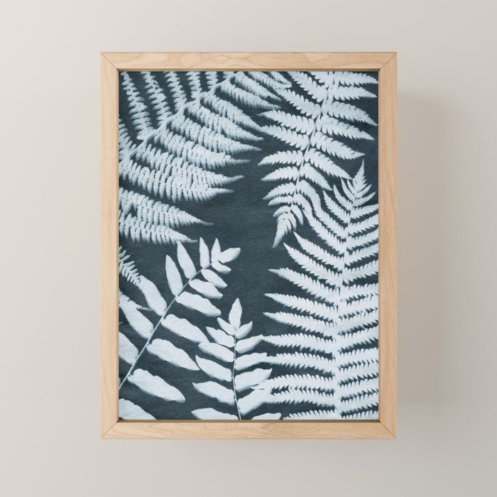 Sun Print Fern #1 Mini Art Print Gallery Image 1