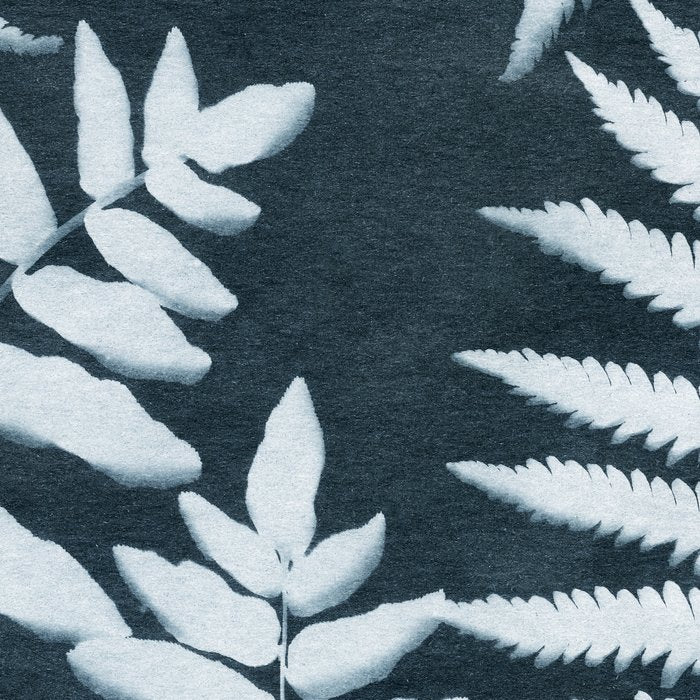 Sun Print Fern #1 Coffee Mug Gallery Image 2