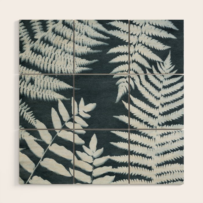 Sun Print Fern #1 Wood Wall Art Gallery Image 1