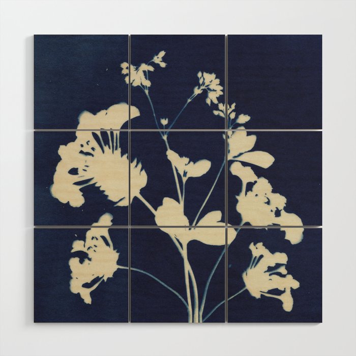 Magic in the Ordinary #12 / Dark Wood Wall Art Gallery Image 1